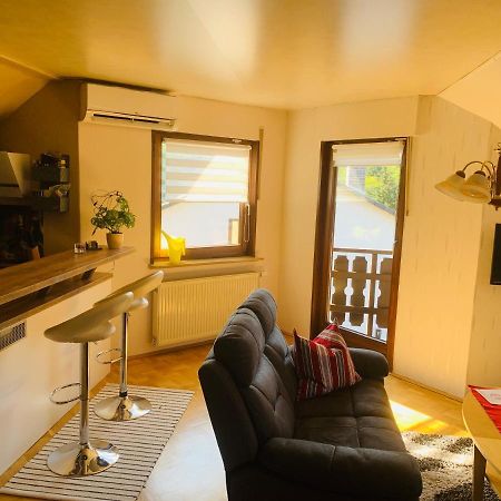 Ferienwohnung Braeuer Chemnitz Zewnętrze zdjęcie